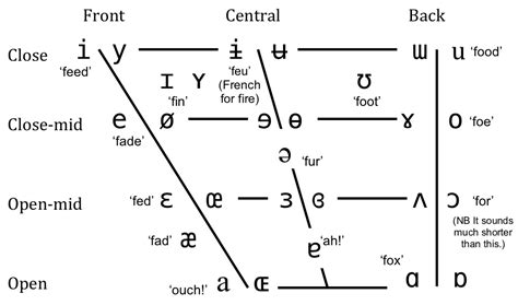 draw pronunciation|phonetic pronunciation guide.